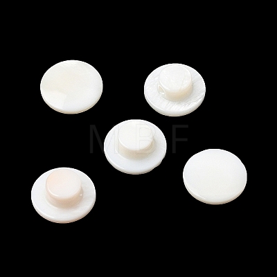 Natural Freshwater Shell Beads SHEL-C009-08-1