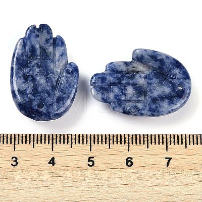 Natural Blue Spot Jasper Pendants G-K359-03C-1