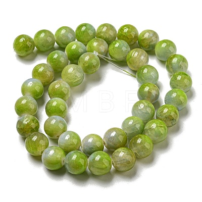 Dyed Natural White Jade Beads Strands G-F764-03A-1