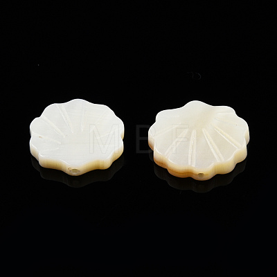 Natural Freshwater Shell Beads X-SHEL-T007-02-1