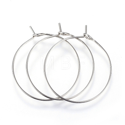 316L Surgical Stainless Steel Hoop Earring Findings LS-STAS-G130-03P-1