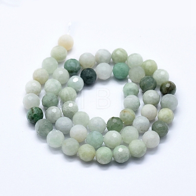 Natural Myanmar Jade Beads Strands G-D0013-50-1