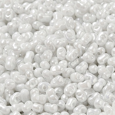 Glass Seed Beads SEED-K009-02A-10-1