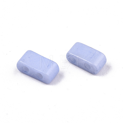2-Hole Baking Paint Glass Seed Beads SEED-S031-M-SH494FR-1