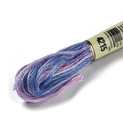 10 Skeins 6-Ply Polyester Embroidery Floss OCOR-K006-A66-1