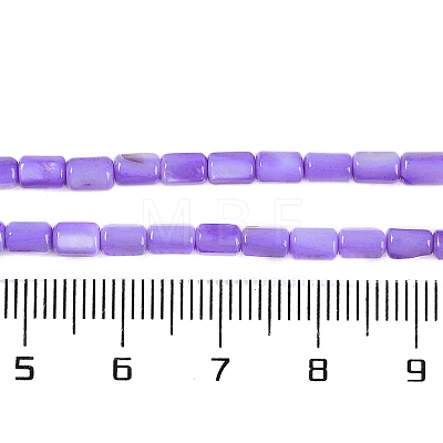 Natural Freshwater Shell Beads Strands BSHE-H109-17C-1