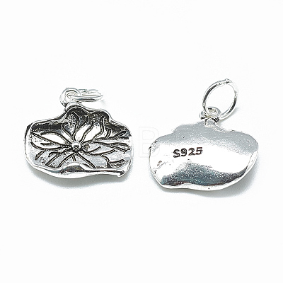 Thailand 925 Sterling Silver Charms STER-T002-07AS-1