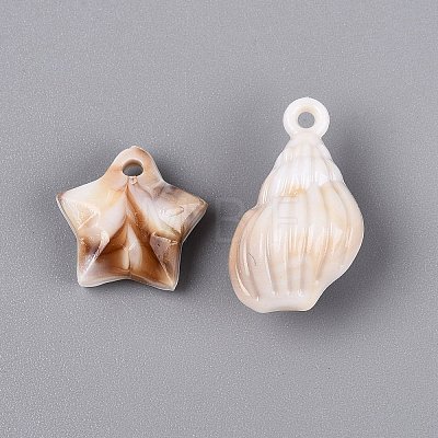 Two Tone Ocean Series Opaque Plastic Imitation Gemstone Pendants KY-Q005-05-1