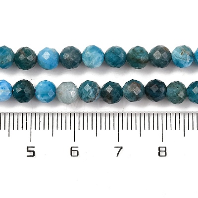 Natural Apatite Beads Strands G-F770-C02-02-1
