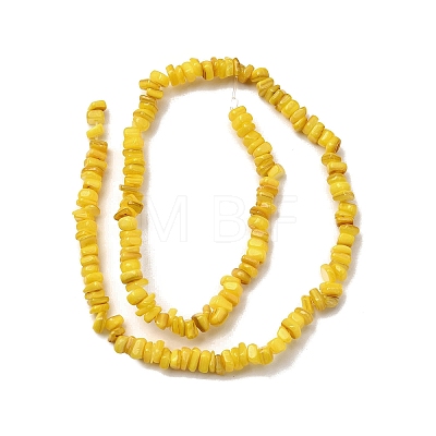 Natural Freshwater Shell Beads SHEL-B003-01-1