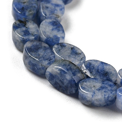 Natural Blue Spot Jasper Beads Strands G-M420-H06-03-1