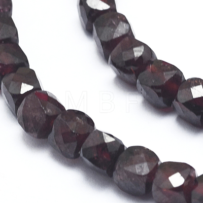 Natural Garnet Beads Strands G-D0003-B09-1
