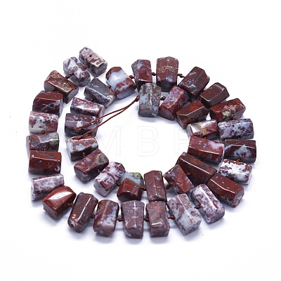 Natural Red Lightning Agate Beads Strands G-K293-J15-C-1
