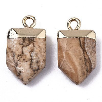 Natural Picture Jasper Pointed Pendants G-N326-34I-1