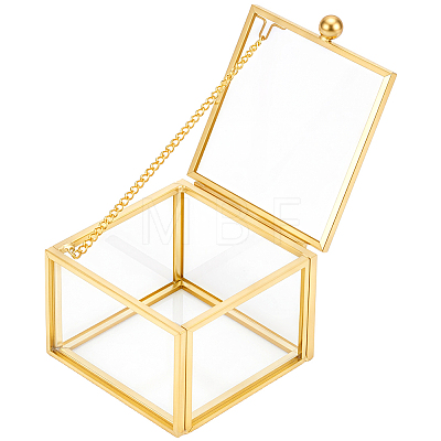 Transparent Glass Jewelry Organizer Display Cases with Metal Frame ODIS-WH0025-357A-1