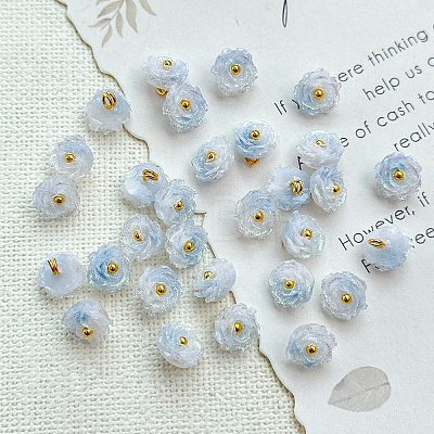 Two Tone Transparent Resin Charms RESI-CJC0023-19B-1