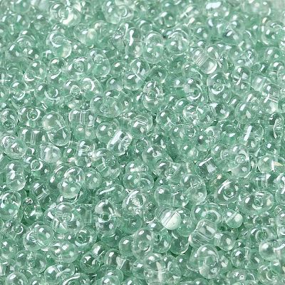 Glass Seed Beads SEED-L011-05B-14-1