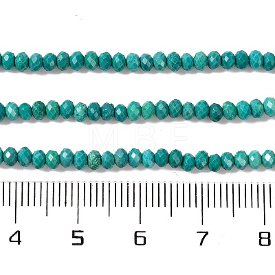 Natural Howlite Beads Strands G-H025-03B-04-1