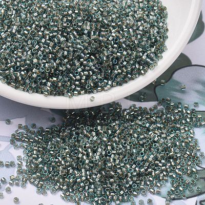 MIYUKI Delica Beads SEED-J020-DB2379-1