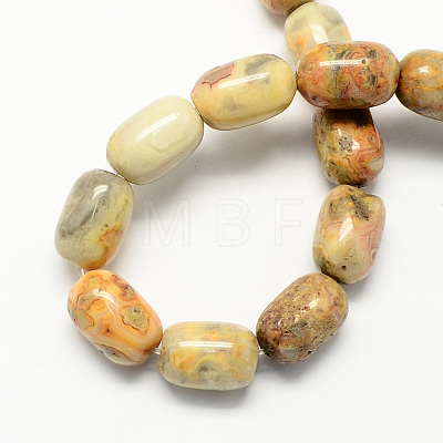 Barrel Shaped Gemstone Natural Crazy Agate Stone Beads Strands G-S114-08-1