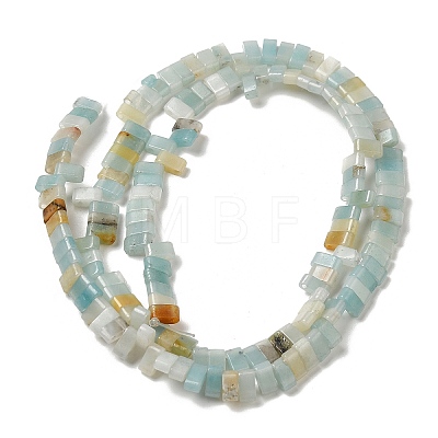 Natural Flower Amazonite Beads Strands G-Z045-A04-01-1