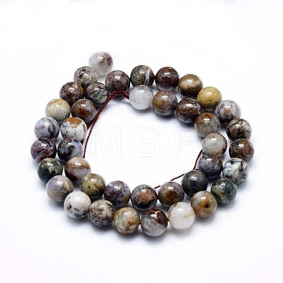 Natural Pietersite Beads Strands G-G823-05-10mm-1