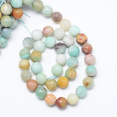 Natural Flower Amazonite Bead Strands G-R346-6mm-22-1