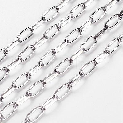 Iron Paperclip Chains CH-R025-10x5mm-P-1