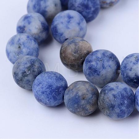 Natural Blue Spot Jasper Beads Strands G-Q462-8mm-06-1