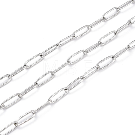Tarnish Resistant 304 Stainless Steel Paperclip Chains CHS-D033-06P-01-1