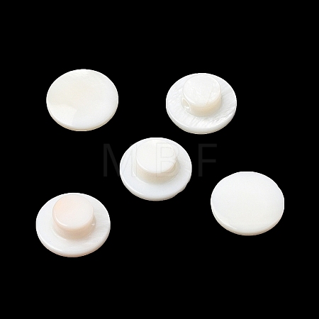 Natural Freshwater Shell Beads SHEL-C009-08-1