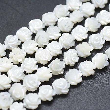 Natural White Shell Beads Strands SSHEL-P015-01A-12mm-1