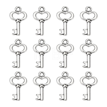 Gifts Ideas for Her Tibetan Style Alloy Charms LF11975Y-NF-1