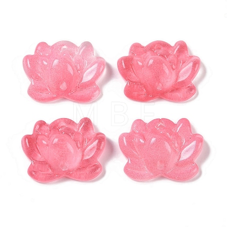 Baking Paint Glass Beads GLAA-S202-13J-1