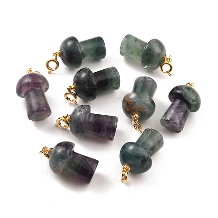 Natural Fluorite Pendants G-M380-C05-P-1