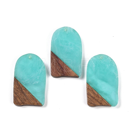 Resin & Wood Pendants WOOD-F015-13H-1