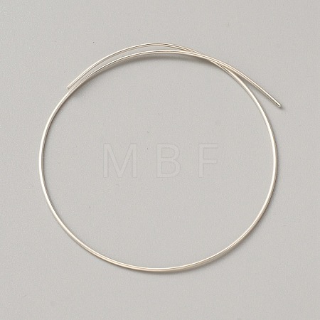 999 Fine Silver Wire STER-WH0008-14B-1