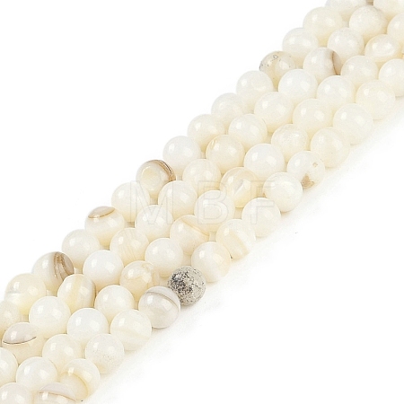 Natural Cultured Freshwater Shell Beads Strands BSHE-H109-03C-1