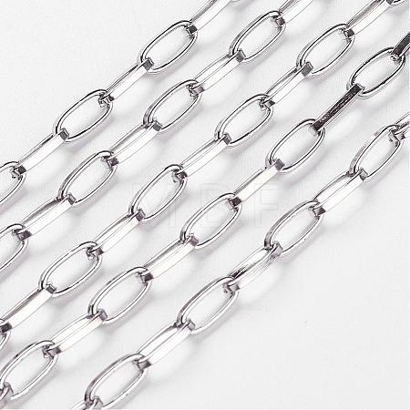Iron Paperclip Chains CH-R025-10x5mm-P-1