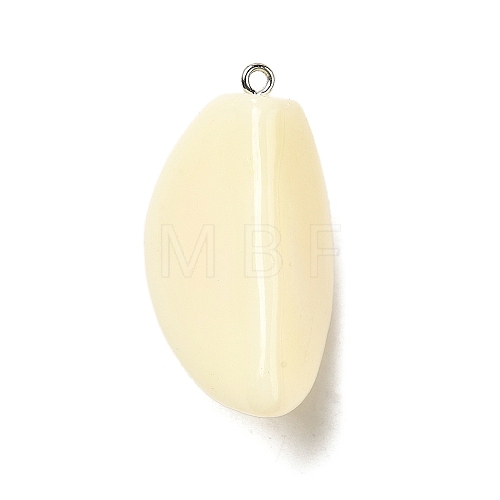 Opaque Resin Pendants FIND-I044-16B-1