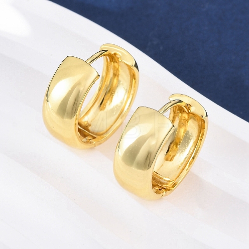 Brass Hoop Earrings EJEW-Q015-21A-G-1