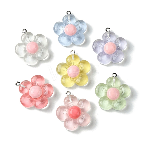 Translucent Resin Pendants RESI-P039-01P-1