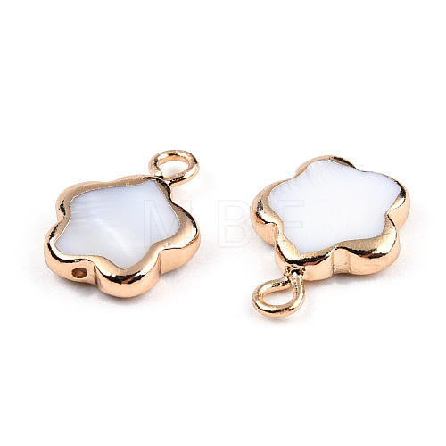 Electroplated Natural Freshwater Shell Charms SHEL-N032-218-1