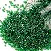 TOHO Round Seed Beads SEED-JPTR15-0167B-1