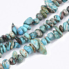 Natural Imperial Jasper Beads Strands G-S355-08-1