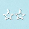 304 Stainless Steel Charms X-STAS-L234-095S-3