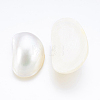 Natural White Shell Mother of Pearl Shell Cabochons SSHEL-P014-01A-2