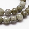 Natural Labradorite Beads Strands X-G-D840-10-8mm-3