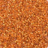 MIYUKI Delica Beads SEED-X0054-DB0045-3