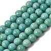 Natural Amazonite Bead Strands G-P204-02-10mm-2